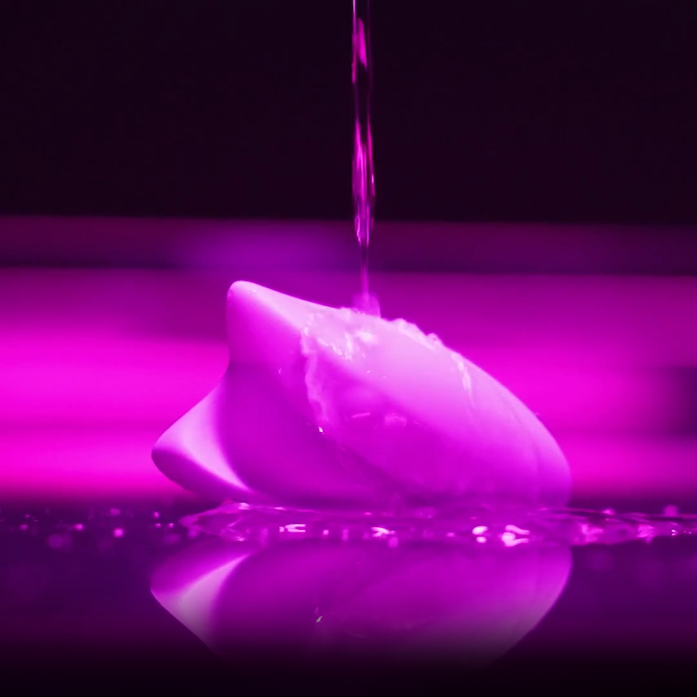 Seductive Secret -HANDHELD & DISCREET