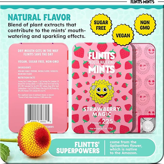 Flintt Mints - bye bye dry mouth