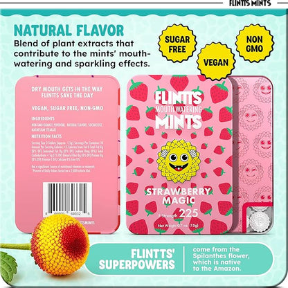 Flintt Mints - bye bye dry mouth