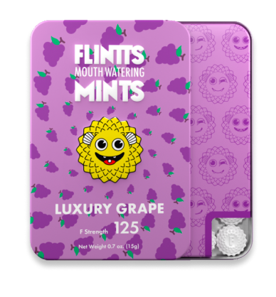 Flintt Mints - bye bye dry mouth