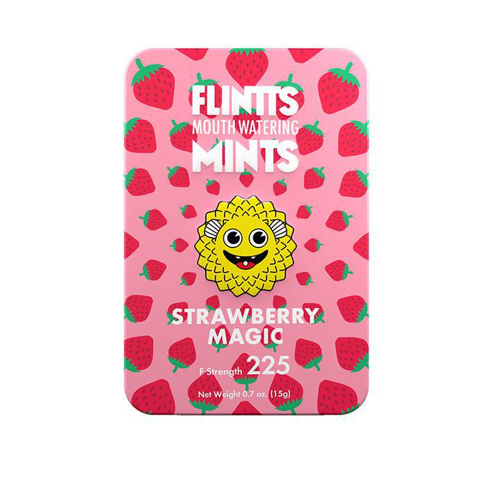 Flintt Mints - bye bye dry mouth