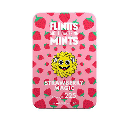 Flintt Mints - bye bye dry mouth