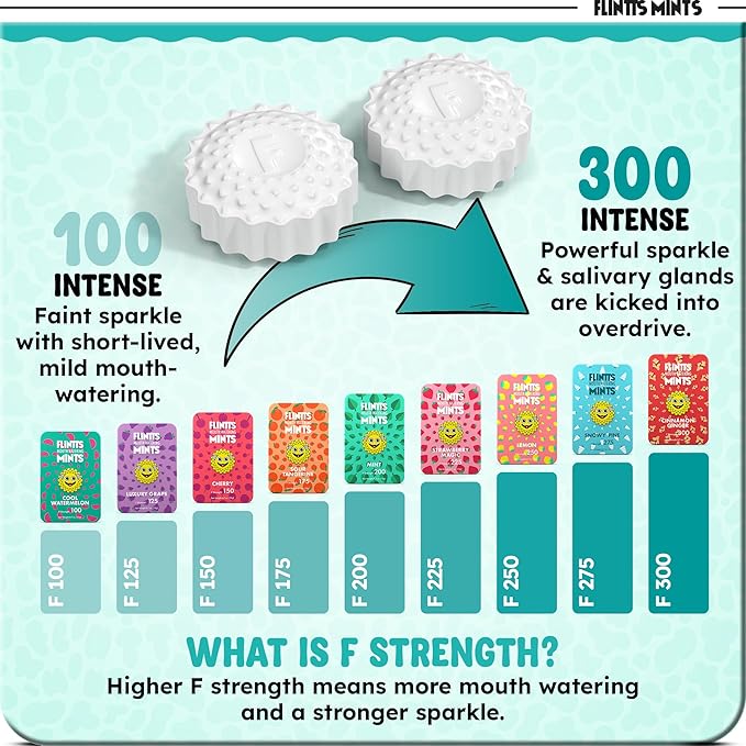 Flintt Mints - bye bye dry mouth
